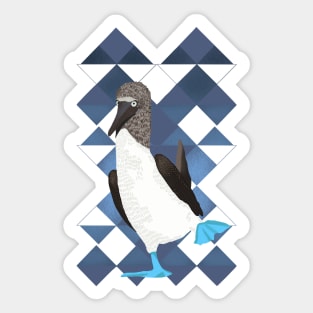 Blue Footed Booby Bird Blue Geometric Sticker
